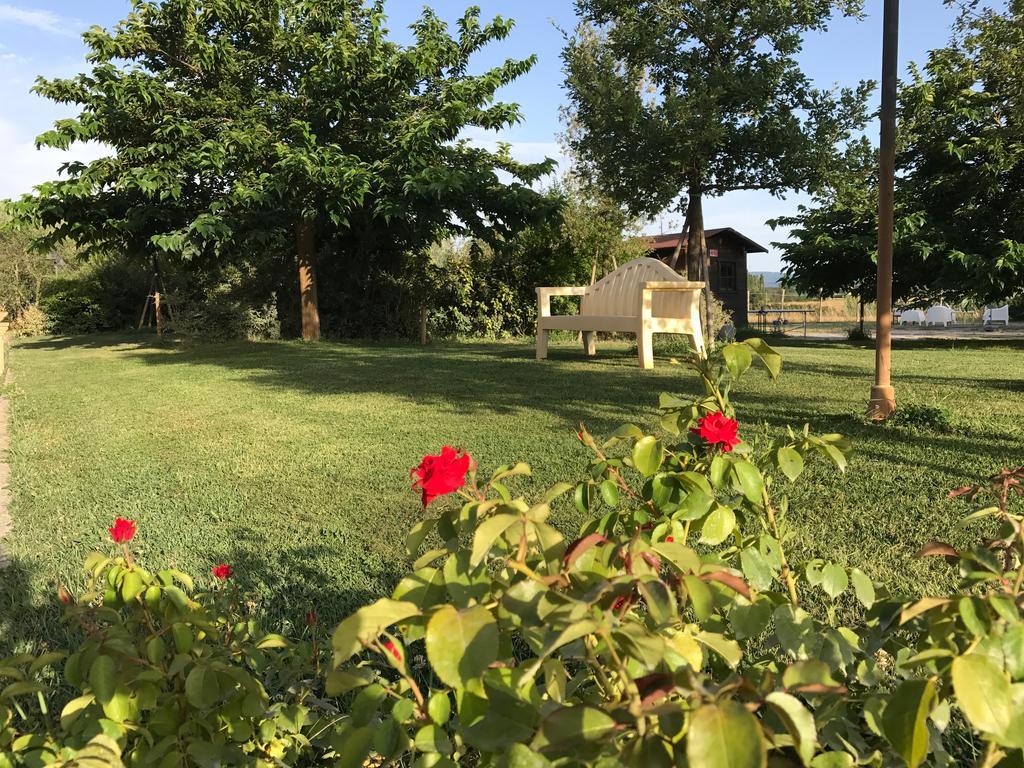 Country House Podere Le Rane Felici Fauglia Dış mekan fotoğraf